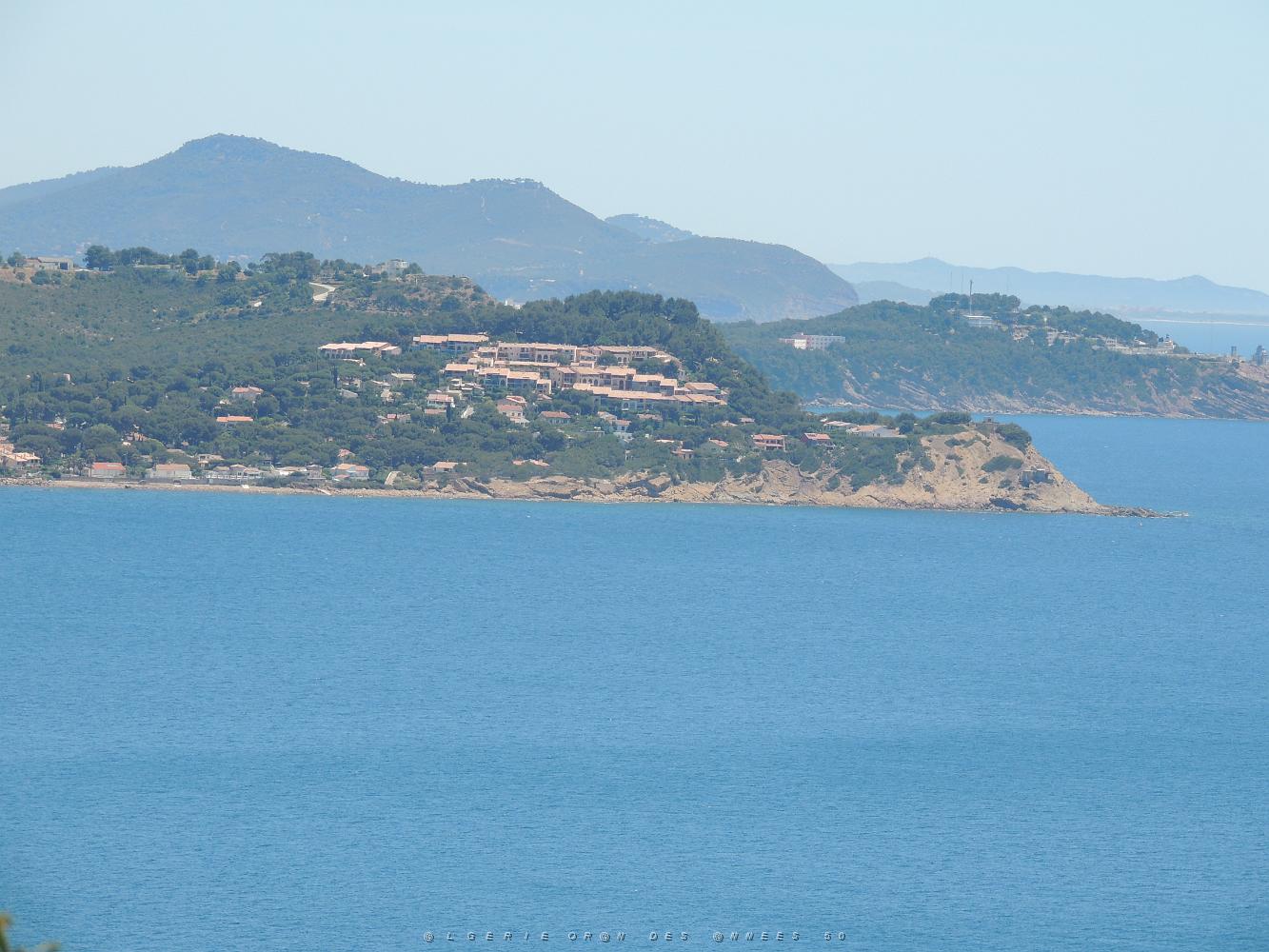 2019 06 01 LA SEYNE SUR MER A.G DE LA SEPIA FEDERATION NATIONALE (425).JPG -           